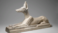 DTAE Recumbent Anubis