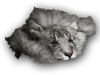 ACOD Lion Mane.png