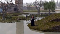 Caterina Sforza bloccata su uno scoglio.