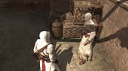 El informador compartiendo su información con Altaïr.