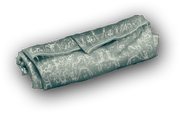 An experimental replica of a Shroud, as seen in the simulation of Atlantis