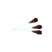 Berserk darts used by Edward Kenway