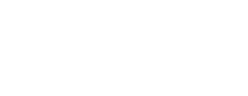 Assassin's Creed Wiki