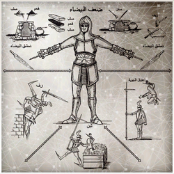 Zw-codex-13