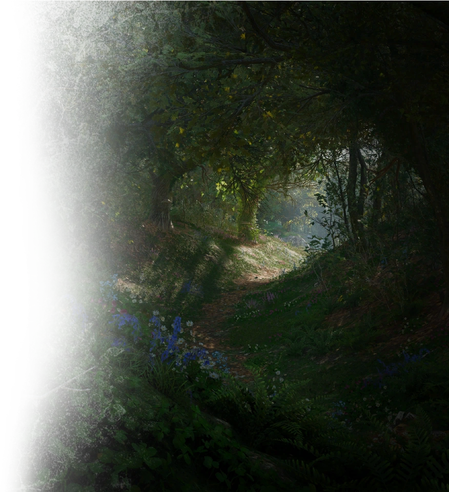 Database The Weald Assassin's Creed Wiki Fandom