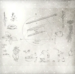 密函页中的毒刃设计图