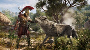 Wolf Pet - ACOdyssey