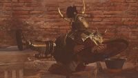 ACO Gladiators The Hoplite