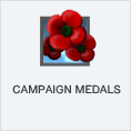 Campaign Medals PL