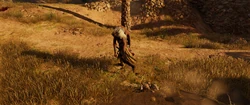 Bayek carrying bodies of farmers