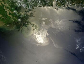 ACB - Deepwater Horizon oil spill - May 24, 2010