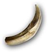 ACOD Boar Tusk.png