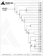 Adamo cromosomiale-Y.