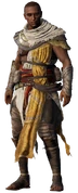 Bayek de Siwa
