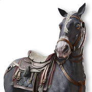 ACMir Al-Fawz (Victory)