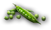 ACOD Garden Peas.png