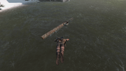 ACIII-RiverRescue 5