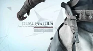 Dual-pistols-assassins-creed-3.jpg (15 kB)