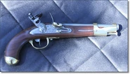 Guns-of-assasins-creed-iii-flintlock-pistol-right61.jpg (333 kB)
