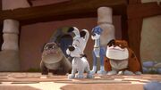 Trailer-idefix-und-die-unbeugsamen