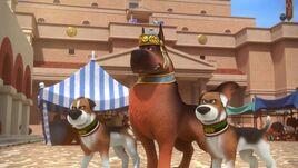 Idefix – Infos zur Kinderserie TOGGO Eltern