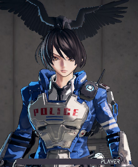 Perching_raven.jpeg