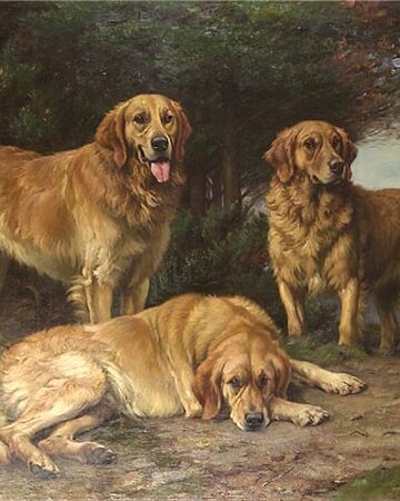 Dog Astrohanasia Wiki Fandom
