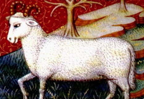 Astrology Wiki