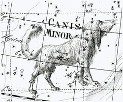 Cmi