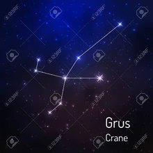 Grus c