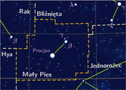 Gwiazdozbiór Małego Psa według Wikipedii