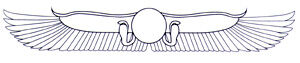 Wings.jpg