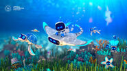 Astro with various aquatic animals