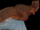 T-Rex