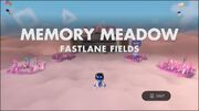 Fastlane Fields