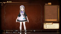 Totori Plus costume 2