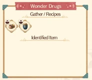 Wonder Drugs Info