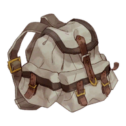 Knapsack A21