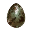 A15 Bird Egg