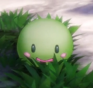 Green Puni A1