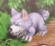A1 Wolf