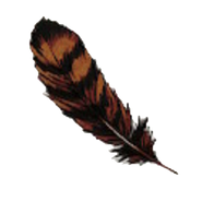 A15 Eagle Feather