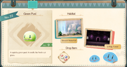 Green Puni Infobook A1