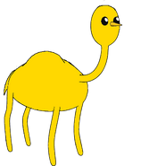 Camel