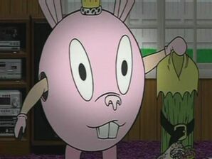 23