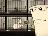 Rabbit, Not Rabbot