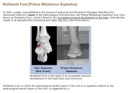 Rothbarts Foot Definition with photos