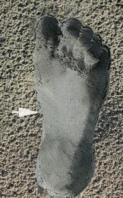 Hyperpronated Foot Imprint