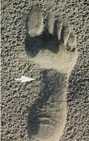 Normal Foot Imprint