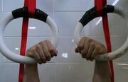 Falsegrip.jpg